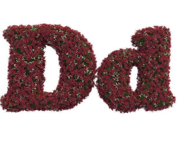 Letters made of leaves and flowers — Stock Photo, Image