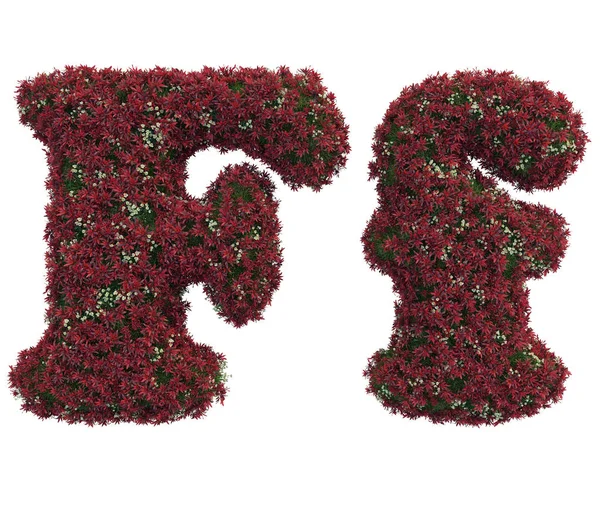 Buchstaben aus Blättern und Blumen — Stockfoto