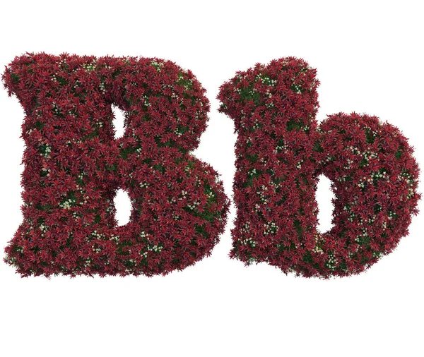 Letters made of leaves and flowers — Stock Photo, Image