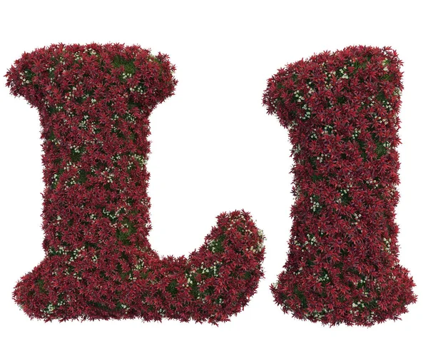 Γράμματα από φύλλα και λουλούδια — Φωτογραφία Αρχείου