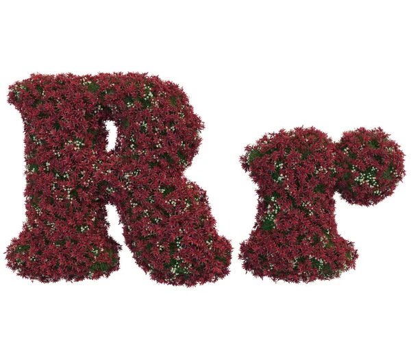 Letters made of leaves and flowers — Stock Photo, Image