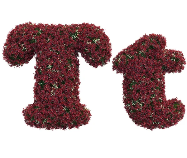 Yaprak ve çiçek yapılmış mektupları — Stok fotoğraf