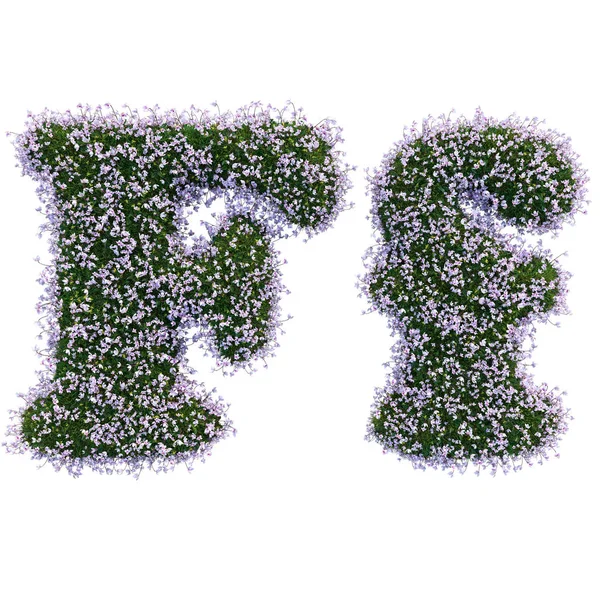 Letters made of leaves and flowers — Stock Photo, Image