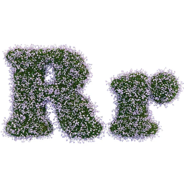 Buchstaben aus Blättern und Blumen — Stockfoto