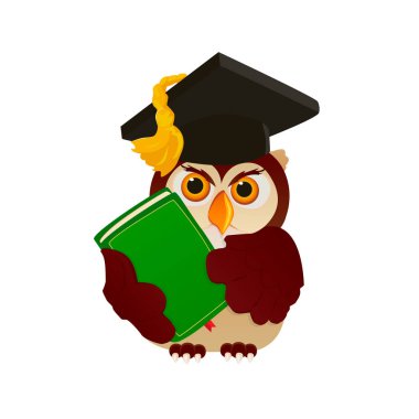 Kitap ve akademik şapka ile zeki baykuş.