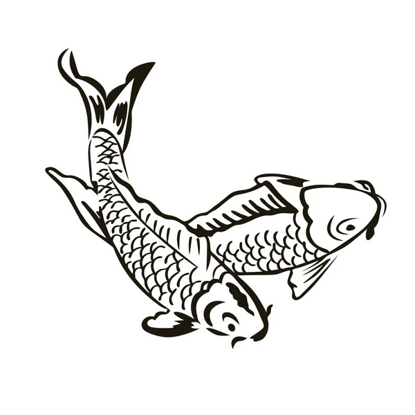 Vektorillustration Zweier Koi Karpfen Japanische Karpfenzeichnung Asiatischer Karpfenfisch — Stockvektor