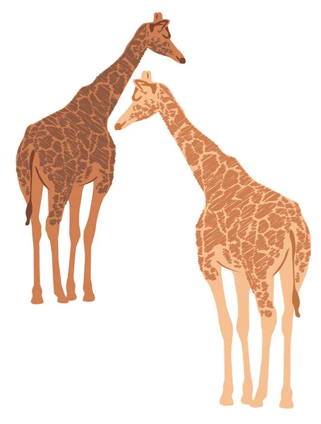 Two Vector Cartoon Giraffe Isolated White Background — Stock Vector