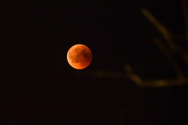 2018 Riga Letland Totale Verduistering Van Maan Riga Letland — Stockfoto