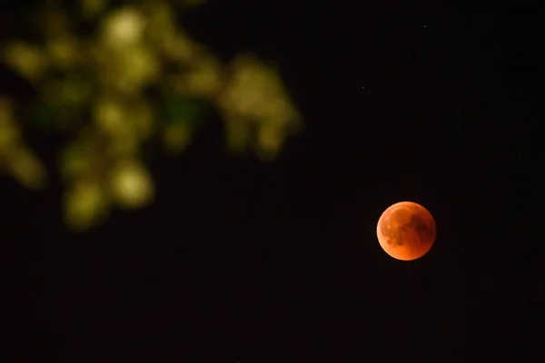 2018 Riga Lettonie Éclipse Totale Lune Riga Lettonie — Photo