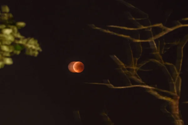 2018 Рига Латвия Полное Затмение Луны Риге Латвия — стоковое фото