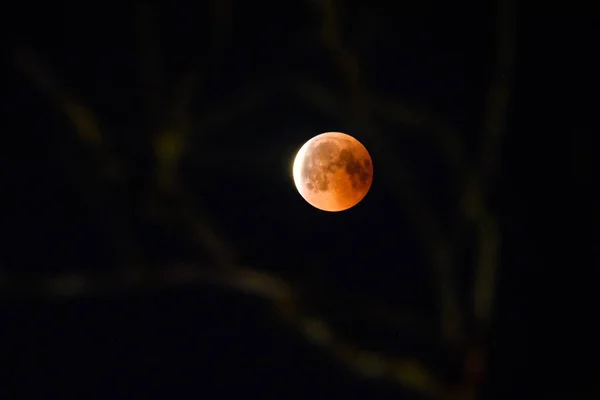 2018 Riga Lettonie Éclipse Totale Lune Riga Lettonie — Photo