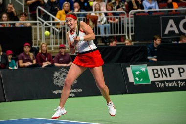 Riga, Letonya - 09 Şubat 2019: Fedcup Bnp Paribas, Dünya Tenis Dünya Grubu II Birinci Tur maçı Letonya ile Slovakya takımı arasında Arena Riga'da.