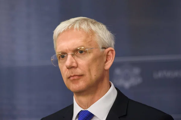 2019 Riga Letonya Marshall Billingslea Terörizmin Finansmanından Sorumlu Müsteşar Yardımcısı — Stok fotoğraf