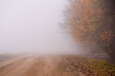 Kırsal yolun üstünde sis var. Sisli bir sabah. Sonbahar sezonu.