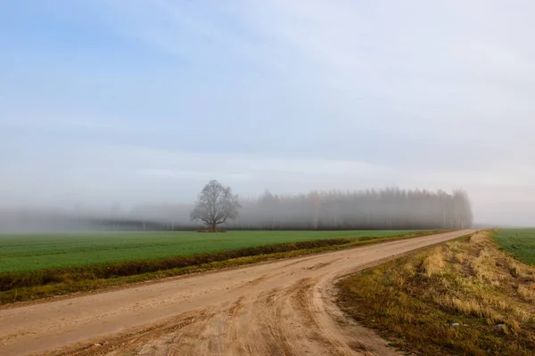 Fog Countryside Road Foggy Morning Fall Season — Stock Photo, Image