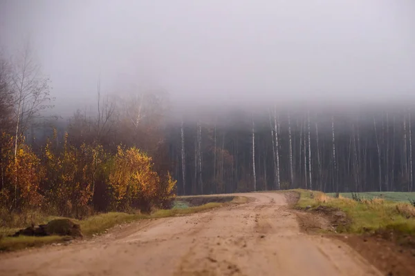 Kırsal Yolun Üstünde Sis Var Sisli Bir Sabah Sonbahar Sezonu — Stok fotoğraf