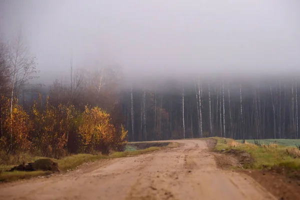 Туман Над Сільською Дорогою Туманний Ранок Осінній Сезон — стокове фото