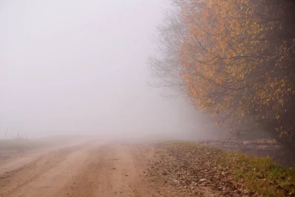 Niebla Sobre Carretera Rural Mañana Brumosa Temporada Otoño — Foto de Stock