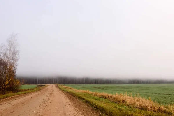 Nebel Über Der Landstraße Nebliger Morgen Herbstzeit — Stockfoto