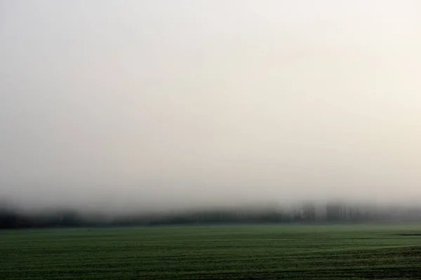 Niebla Profunda Sobre Campo Campo Cerca Del Bosque Mañana Brumosa — Foto de Stock