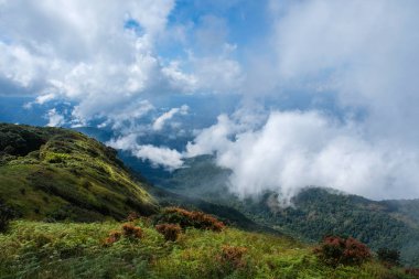 Mountain view chaingmai Tayland