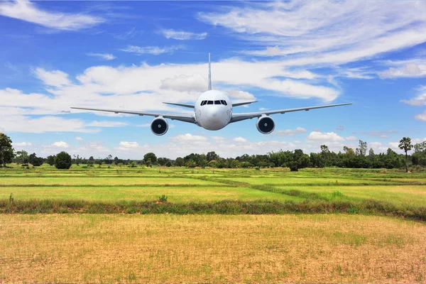 Aereo Friggere Sopra Riso Verde Flied Sfondo Montagna — Foto Stock