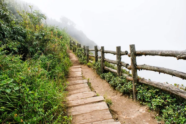 Chemin Randonnée Nature — Photo