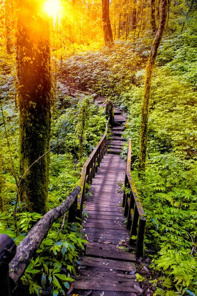 Lehrpfad Wanderweg — Stockfoto