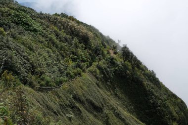 Doğa iz yürüyüş yolu