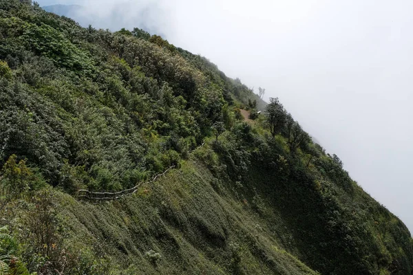 Doğa iz yürüyüş yolu