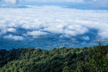 Mountain view chaingmai Tayland
