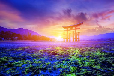Tori kapısı Hiroşima Japonya'da