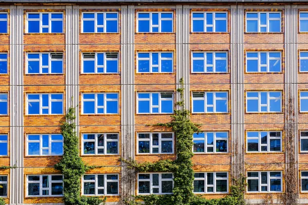 Windows Patroon Van Gevel Van Vintage Huis Berlijn Duitsland — Stockfoto