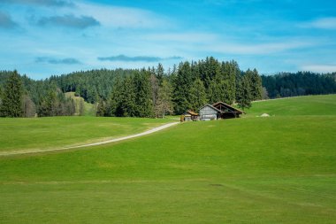 Ülke doğası, Dağları, yeşil çim alan ve yol İsviçre