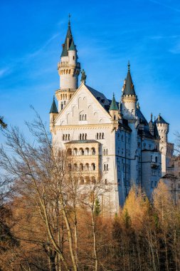 Dünyaca ünlü Neuschwanstein Şatosu Kral Ludwig II üzerinde sağlam bir uçurum yakın Fussen, güneybatı Bavaria, Almanya için inşa güzel görünümü