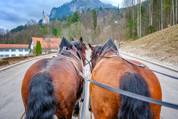 Horse-drawn carriage going to Neuschwanstein Castle 