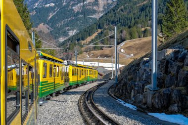 Bir sarı swiss Tren demiryolu Interlaken üzerinden Jungfraujoch, İsviçre