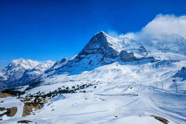 Panoramiczny Widok Dworca Kleine Scheidegg Wzdłuż Linii Kolejowej Interlaken Jungfraujoch — Zdjęcie stockowe