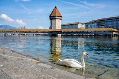 Lucerne şehir merkezinin panoramik manzarası ünlü Chapel Köprüsü ve Lucerne Gölü (Vierwaldstatersee), Lucerne Kantonu, İsviçre