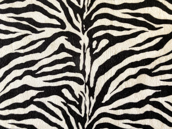 Detalle de textura de piel de tigre blanco y primer plano —  Fotos de Stock