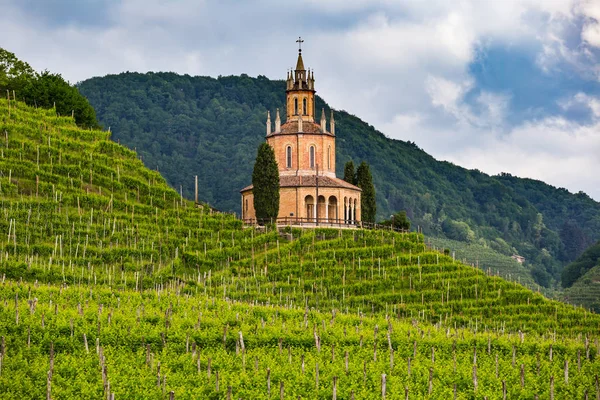 Üzüm bağları arasında Colle di San Martino Kilisesi. Üzüm bağları Prosecco köpüklü şarap bölgesinde Valdobbiadene, İtalya