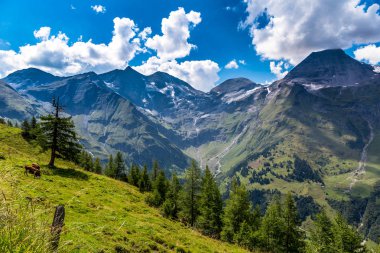 Grossglockner, milli park hohe tauern, Avusturya