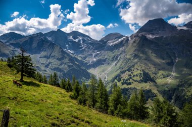 Grossglockner, milli park hohe tauern, Avusturya