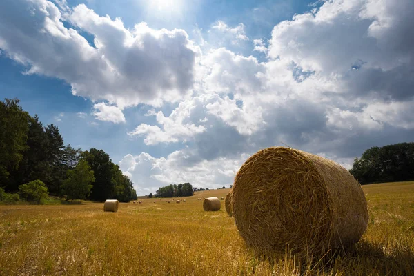 Pole Žních Balíky Slámy Středních Čechách — Stock fotografie