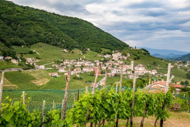 Valdobbiadene - İtalya Prosecco köpüklü şarap bölgesi üzüm bağları ile pitoresk tepeler.