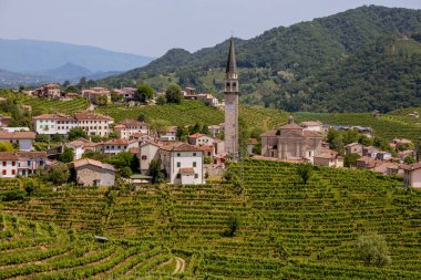 Valdobbiadene - İtalya Prosecco köpüklü şarap bölgesi üzüm bağları ile pitoresk tepeler.