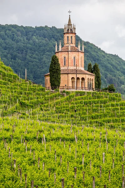 Festői Dombok Szőlő Valdobbiadene Olaszország Prosecco Pezsgő Régió — Stock Fotó