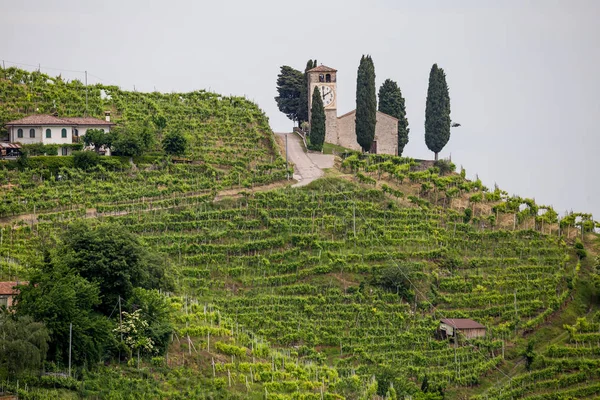 Valdobbiadene - İtalya Prosecco köpüklü şarap bölgesi üzüm bağları ile pitoresk tepeler.