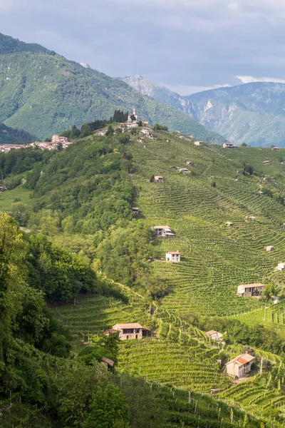 Malownicze Wzgórza Winnicami Regionu Wina Musującego Prosecco Mieście Valdobbiadene Wieś — Zdjęcie stockowe