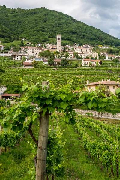 Festői Dombok Szőlő Valdobbiadene Olaszország Prosecco Pezsgő Látnivalóiról Santo Stefano — Stock Fotó